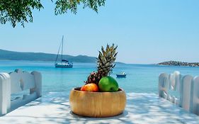 Klima Paradise